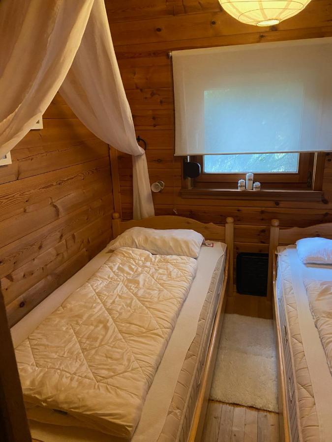 Blockhaus Ferienzauber Villa Bromskirchen Buitenkant foto